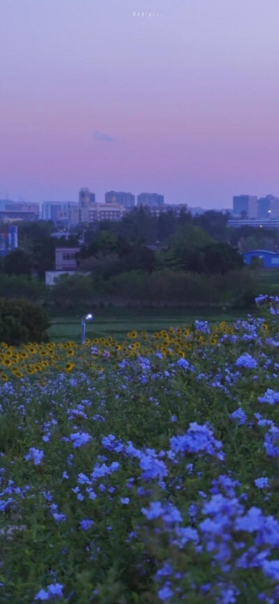 壁纸 风景