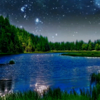 动图 - 堆糖，美图壁纸兴趣社区