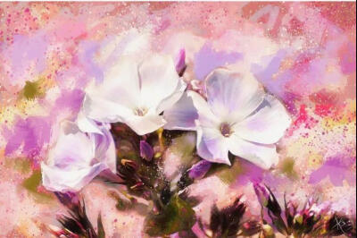 美国阿尔贝托吉兰Alberto Guillen 植物水彩作品