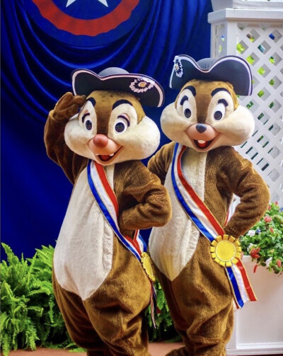 迪士尼 奇奇蒂蒂 Chip&Dale