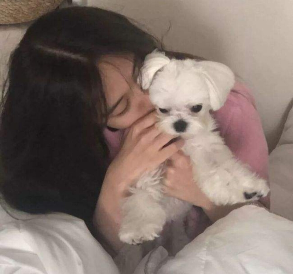 女生抱玩偶真人头像赞评论更多