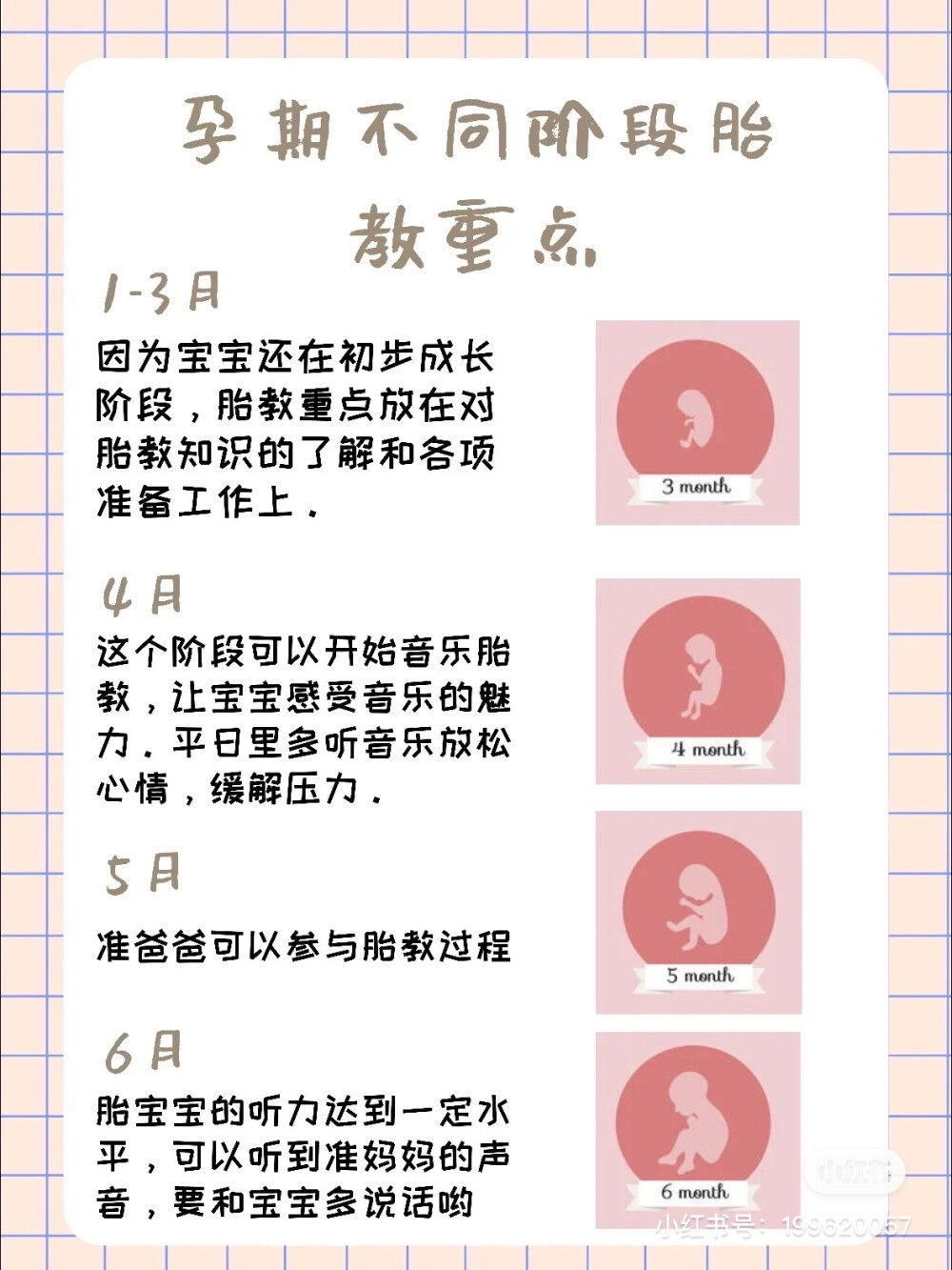 孕期不同阶段胎教重点