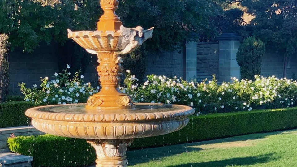 海/花园/浴室//橙光//欧美//《平行加州》4.