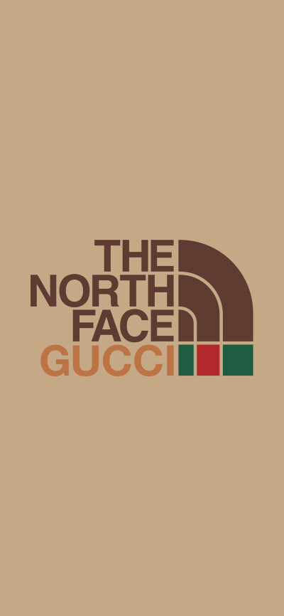 THE NORTH FACE ×GUCCI
