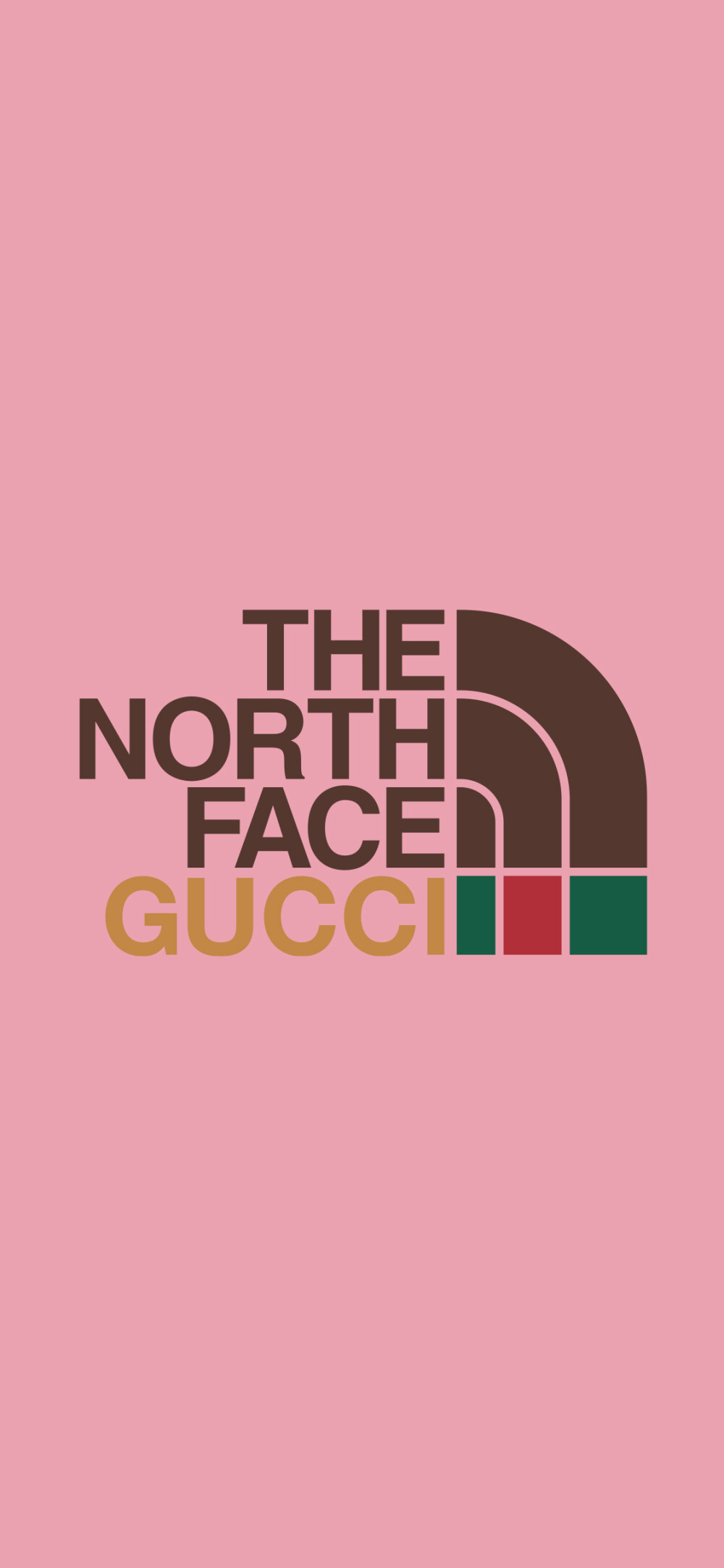 THE NORTH FACE ×GUCCI