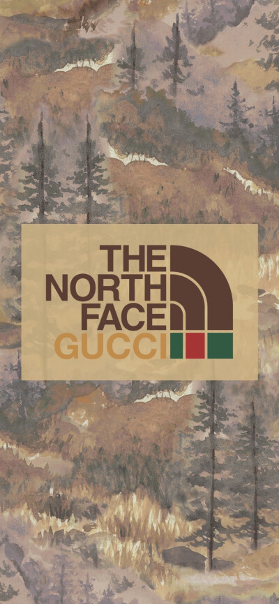 THE NORTH FACE ×GUCCI