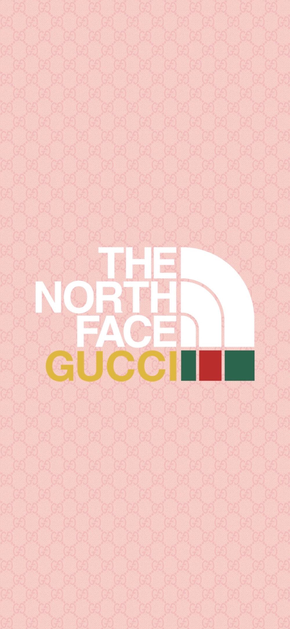 THE NORTH FACE ×GUCCI