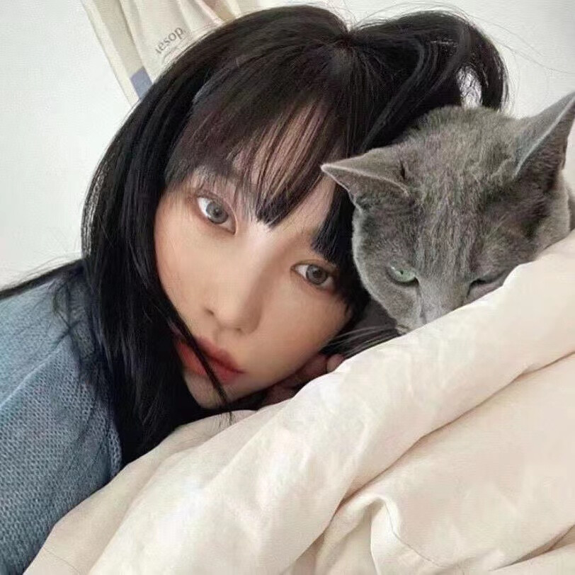 抱猫女头