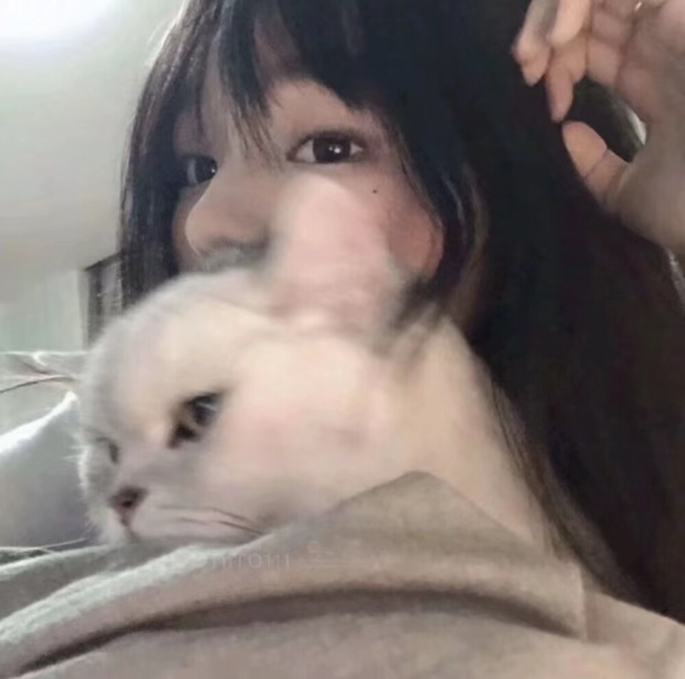 抱猫女头