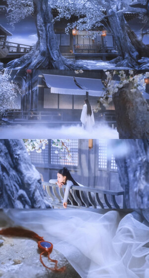 倪妮
