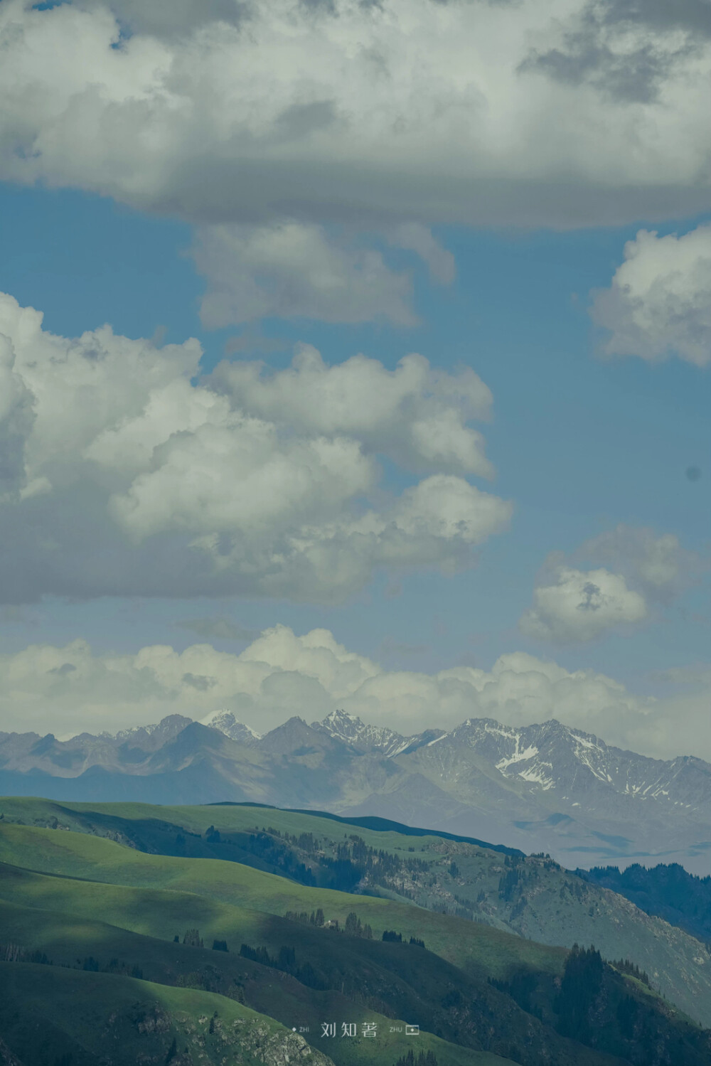 新疆夏日 | 摄影 | 壁纸天空云大树绿地 - 高清图片,堆糖,美图壁纸
