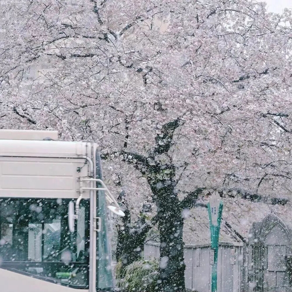 雪