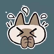 暹罗猫表情包