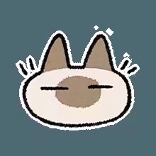 暹罗猫表情包