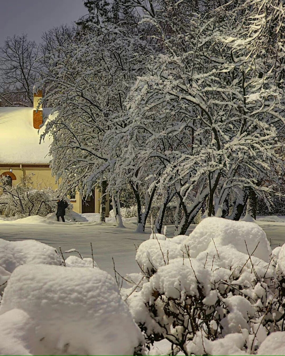 美景·拉脱维亚里加的雪景