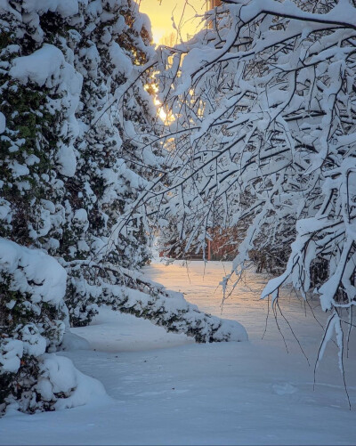 美景·拉脱维亚里加的雪景