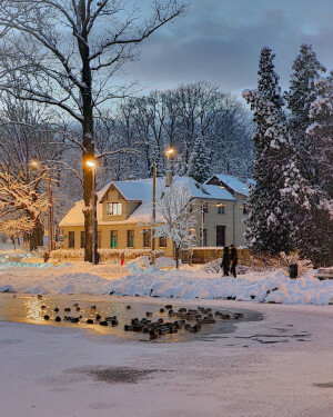 美景·拉脱维亚里加的雪景