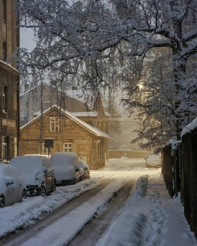 美景·拉脱维亚里加的雪景