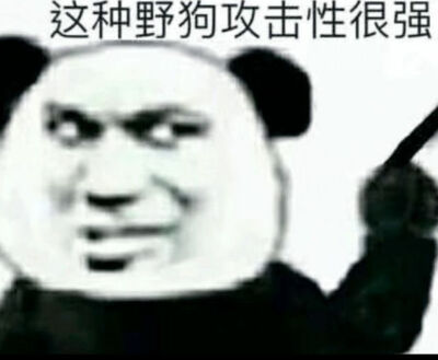 奇奇怪怪的表情包