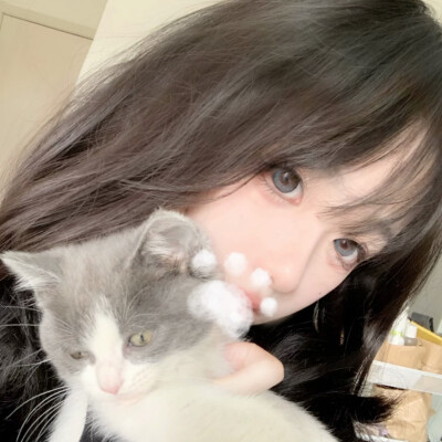 摇滚羊