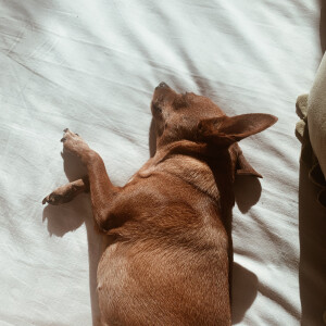 始终在陪我看书，希望今年可以一切顺利，能够回家。