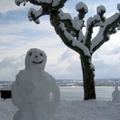 又是雪人君