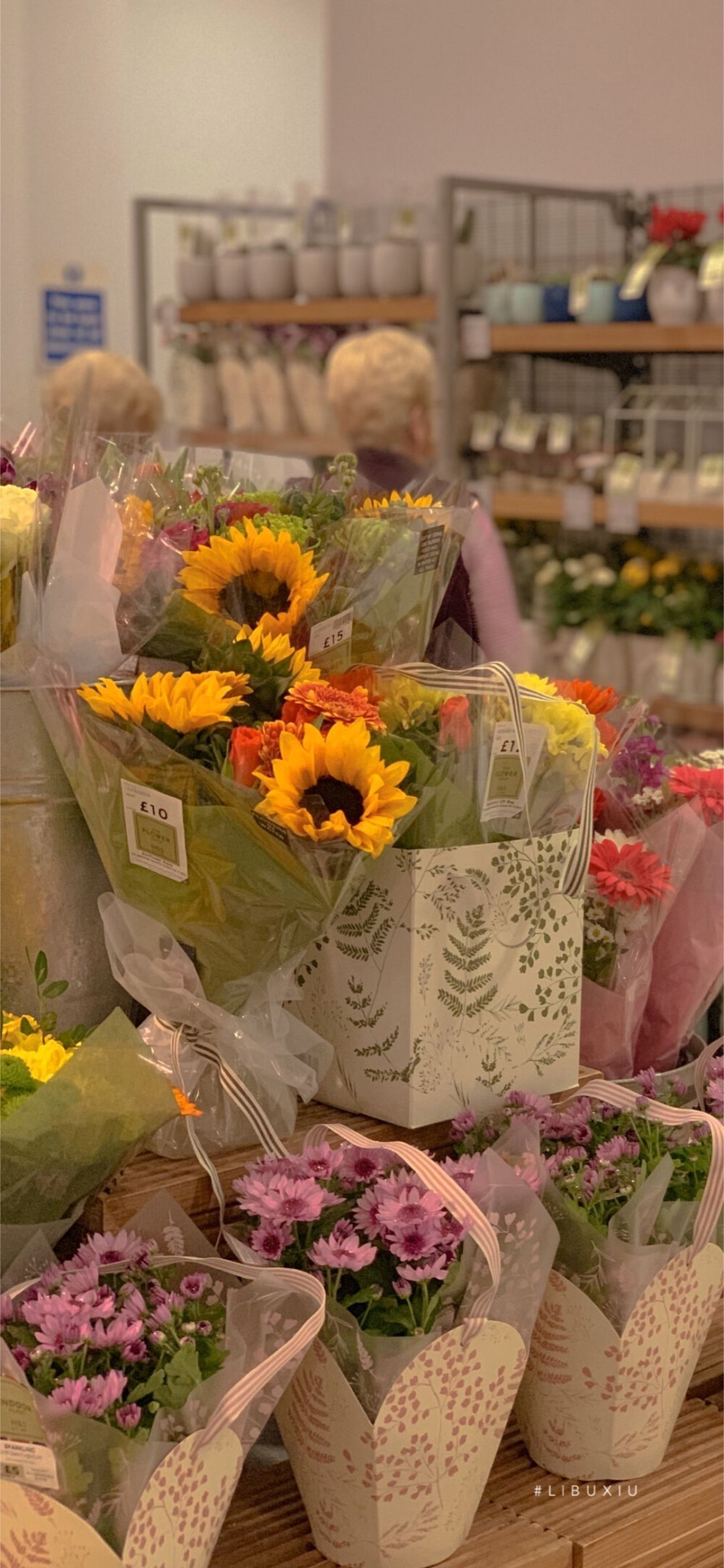 手机壁纸·花朵