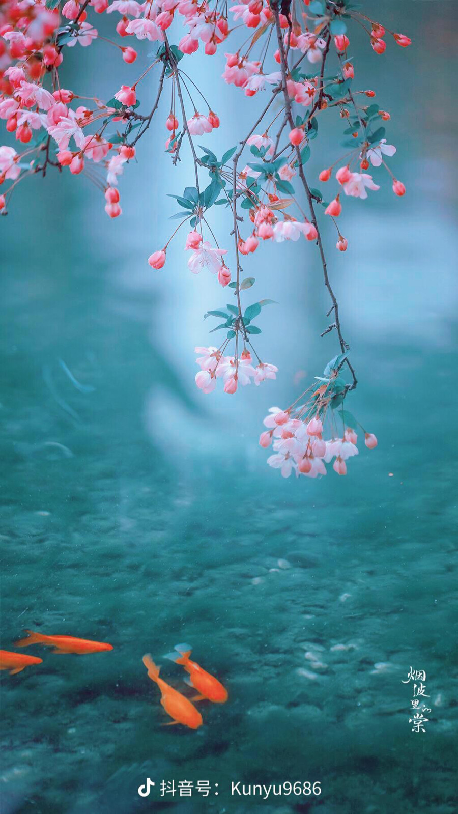 天青色等烟雨