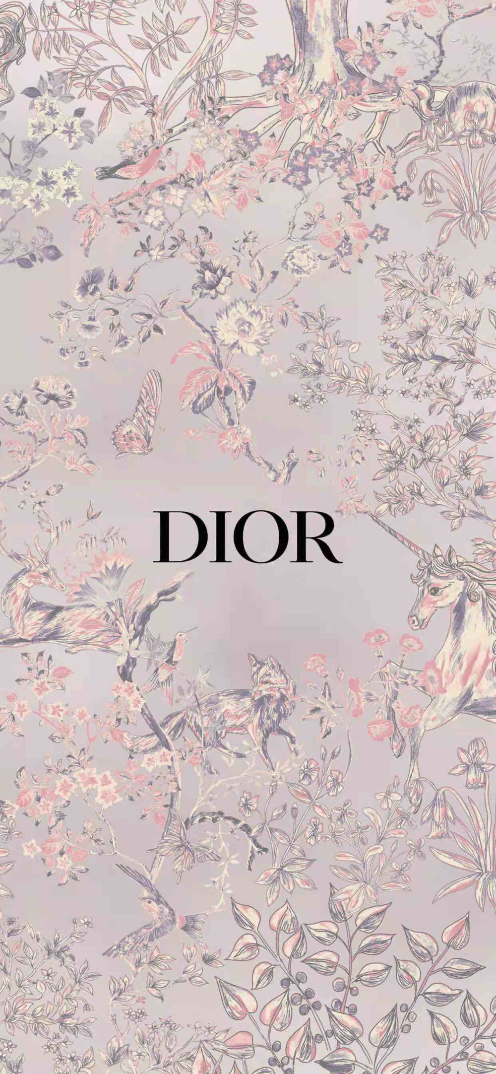 dior iphone壁纸