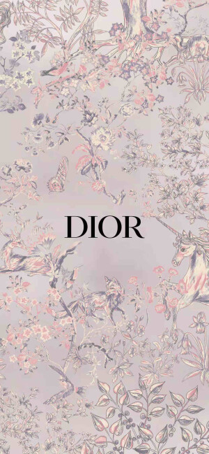 dior iphone壁纸