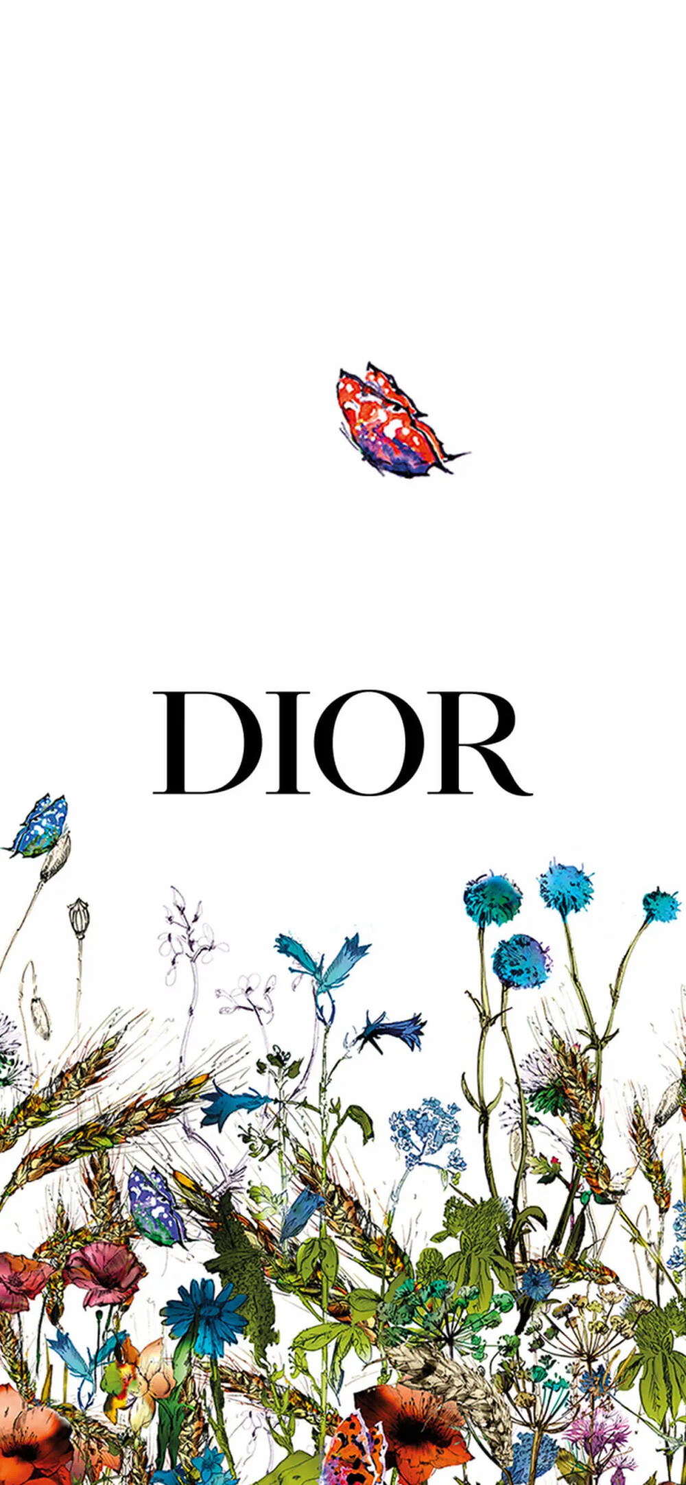 dior iphone壁纸