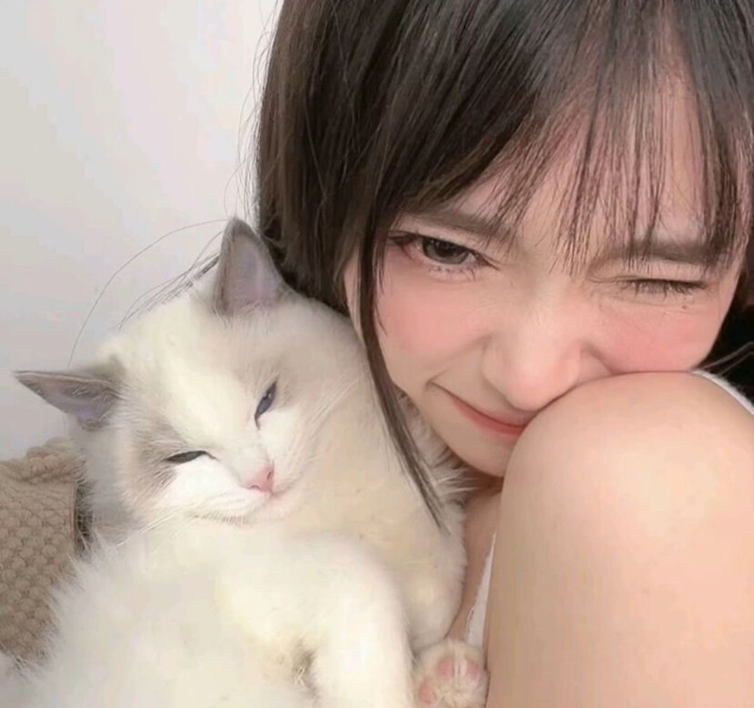 猫猫