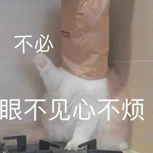 猫猫