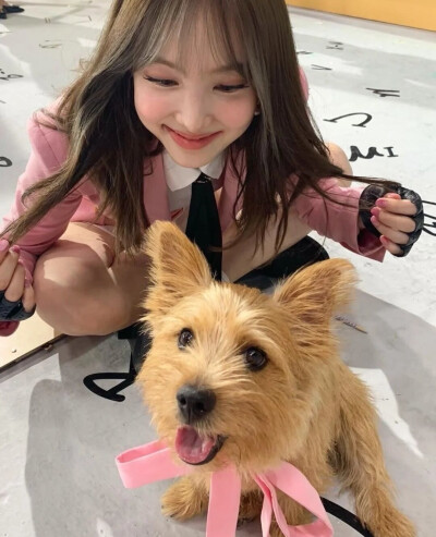 二传注明dt李雀嫱