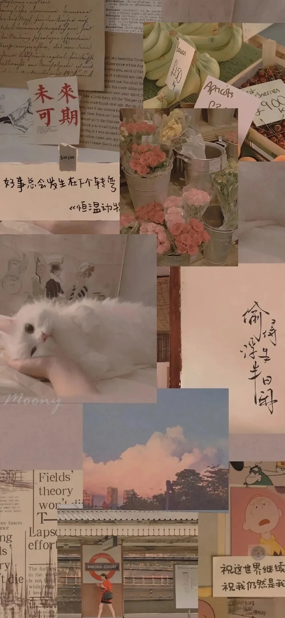 便利贴文字壁纸