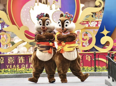 迪士尼 奇奇蒂蒂 Chip&Dale