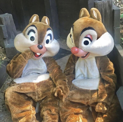 迪士尼 奇奇蒂蒂 Chip&Dale