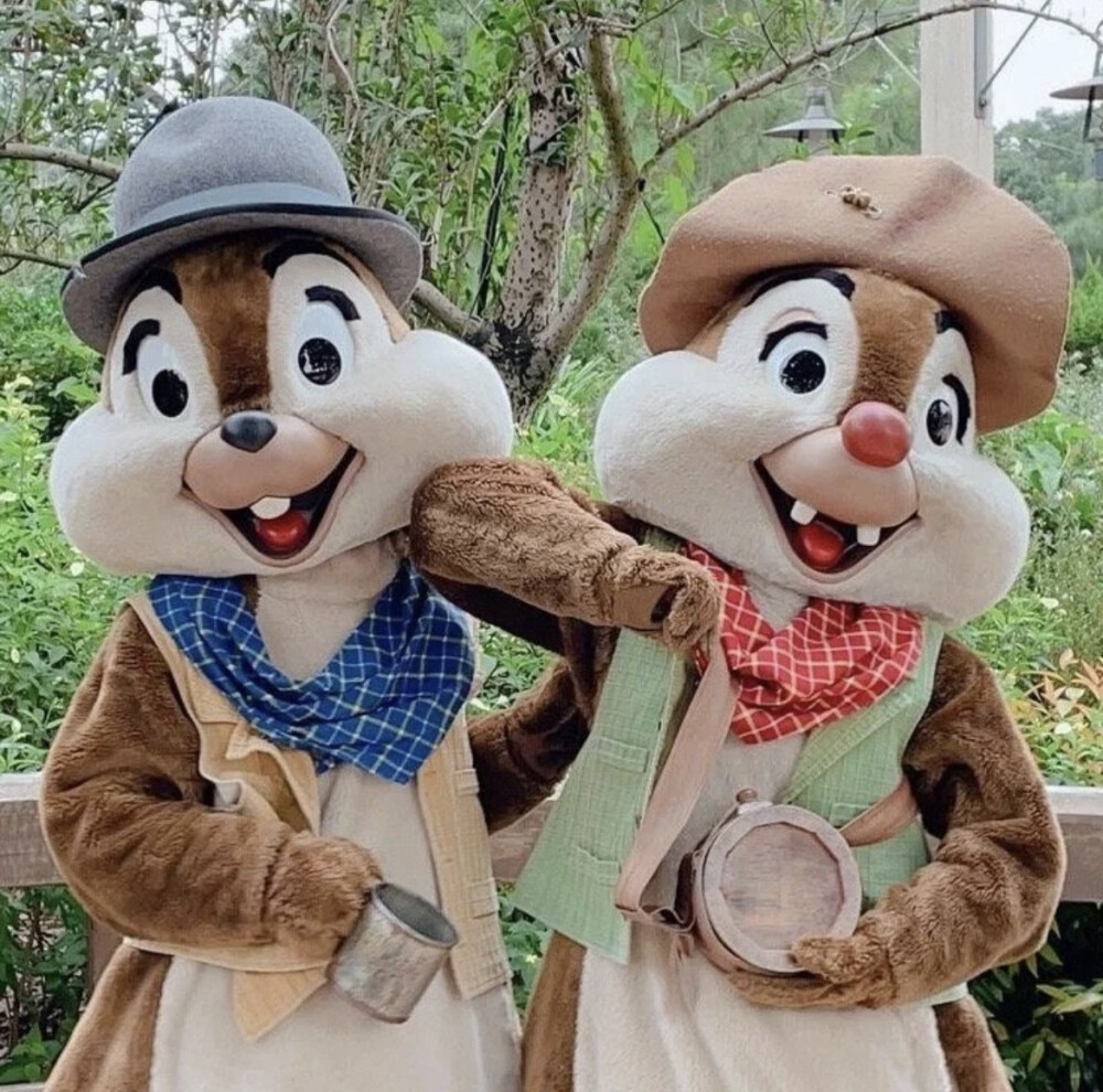 迪士尼 奇奇蒂蒂 Chip&Dale