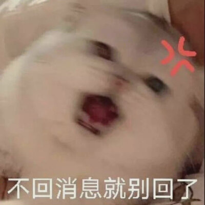 表情包