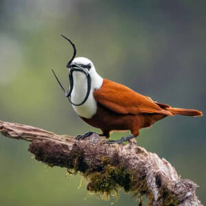 高清图片,堆糖,美图壁纸兴趣社区