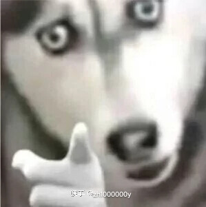 去复印店复印身份证，进去后掏出身份证和一张百元钞票，怕店主找不开说：“我只有一张100的，你给不给复印？”店主说：“对不起我们这里不复印人民币，有身份证也不行！” 