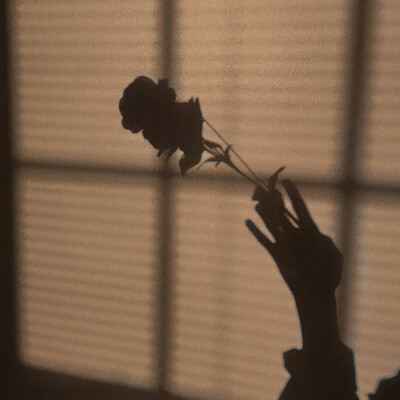 SUGA '吉他的弦奏出弯折的平行线 /Love