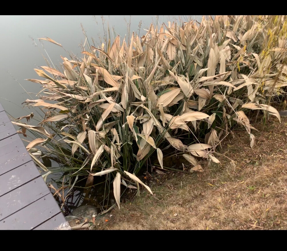 时间静静流淌着