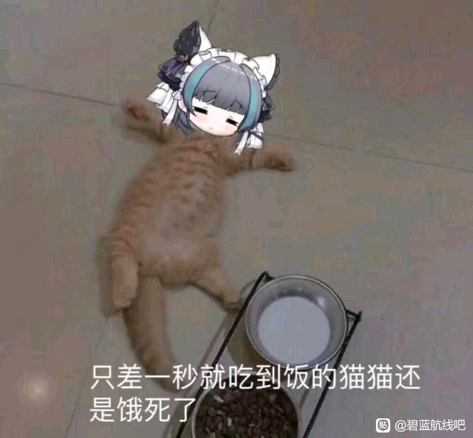 柴郡猫表情包