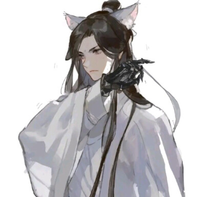 二哈和他的白猫师尊