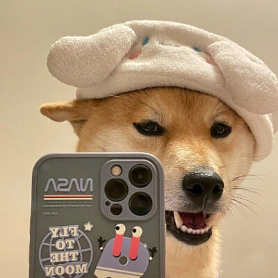 ٩(๑•̀ω•́๑)۶