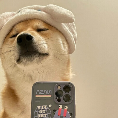 ٩(๑•̀ω•́๑)۶