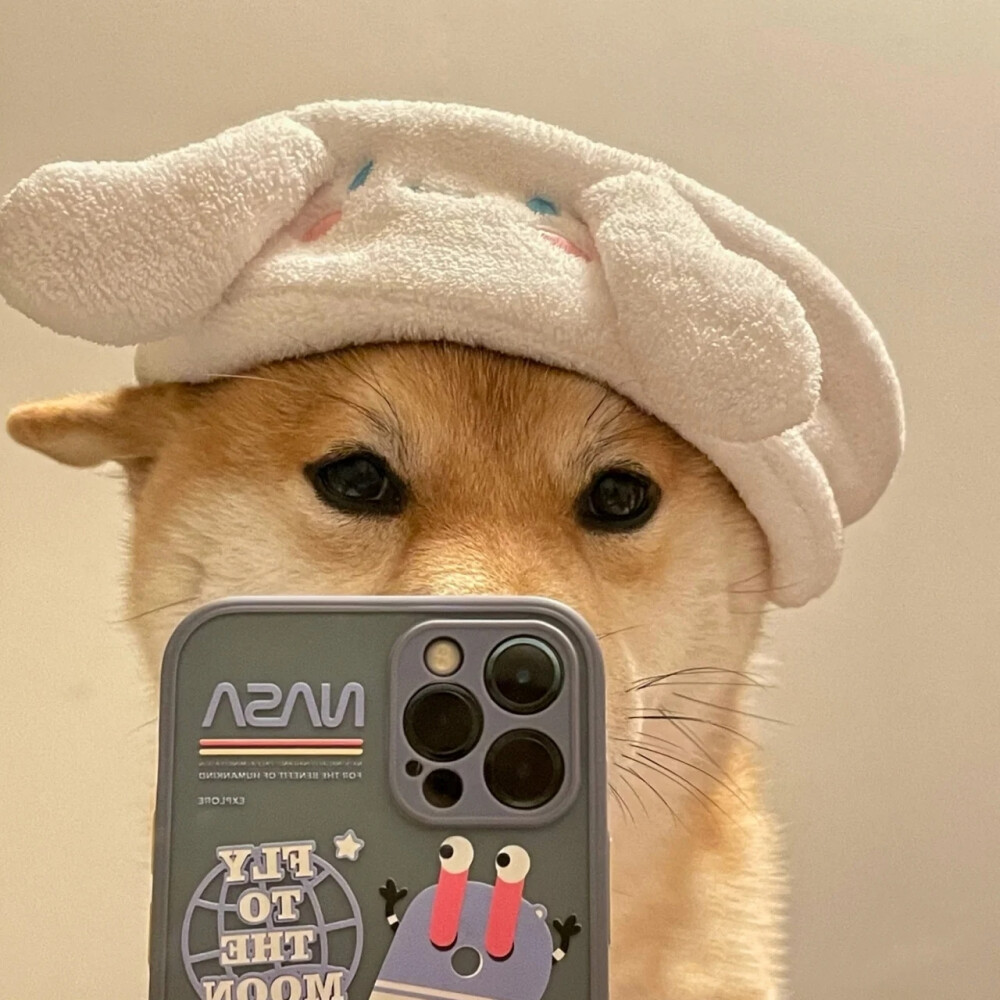 ٩(๑•̀ω•́๑)۶