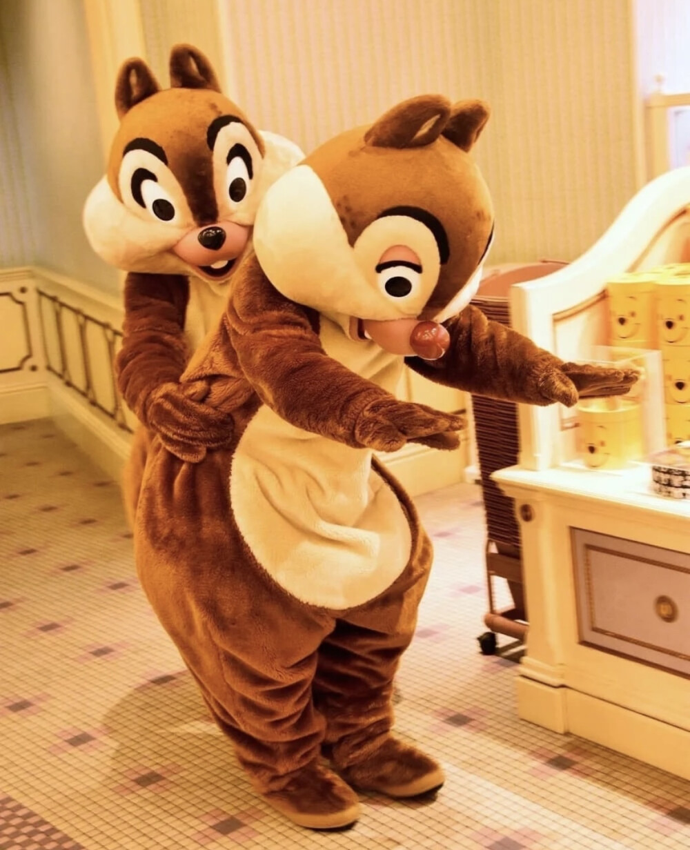 迪士尼 奇奇蒂蒂 Chip&Dale