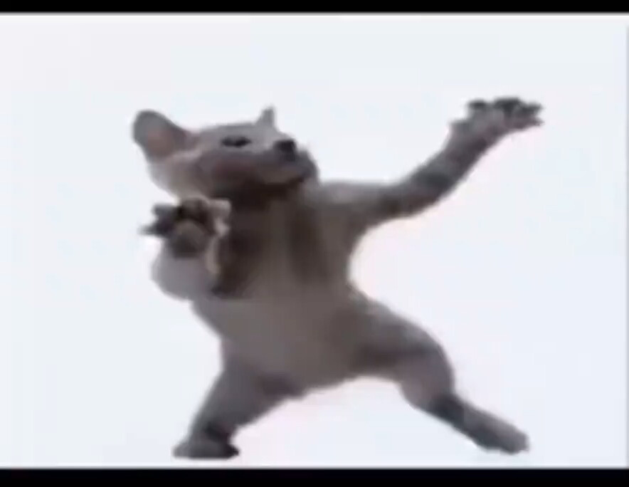 dt甜子/自截禁二传